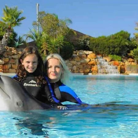 Stylish With A View And