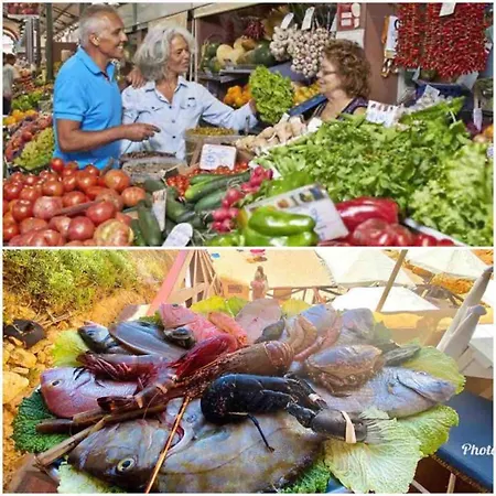 Stylish With A View And * Portimão