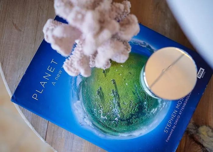 Stylish With A View And 아파트 *