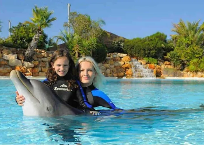 Stylish With A View And